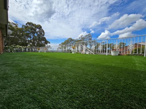 sydney artificial grass ideas