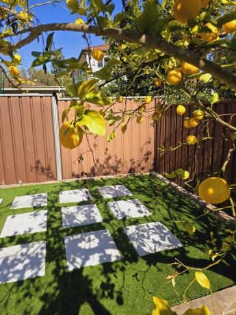 Artificial Grass Installation: A Comprehensive Guide to Synthetic Turf